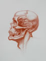 Michael Hensley Drawings, Human Anatomy 6